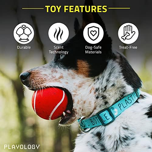 Играчка за кучета Playology с пищащим топка за дъвчене, за средни и големи кучета (от 10 кг), 2 опаковки - за най-тежки