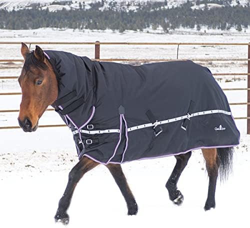 Класическо Зимно Одеало за крос-тренажори за коне 10K с качулка, Черно, X-Small